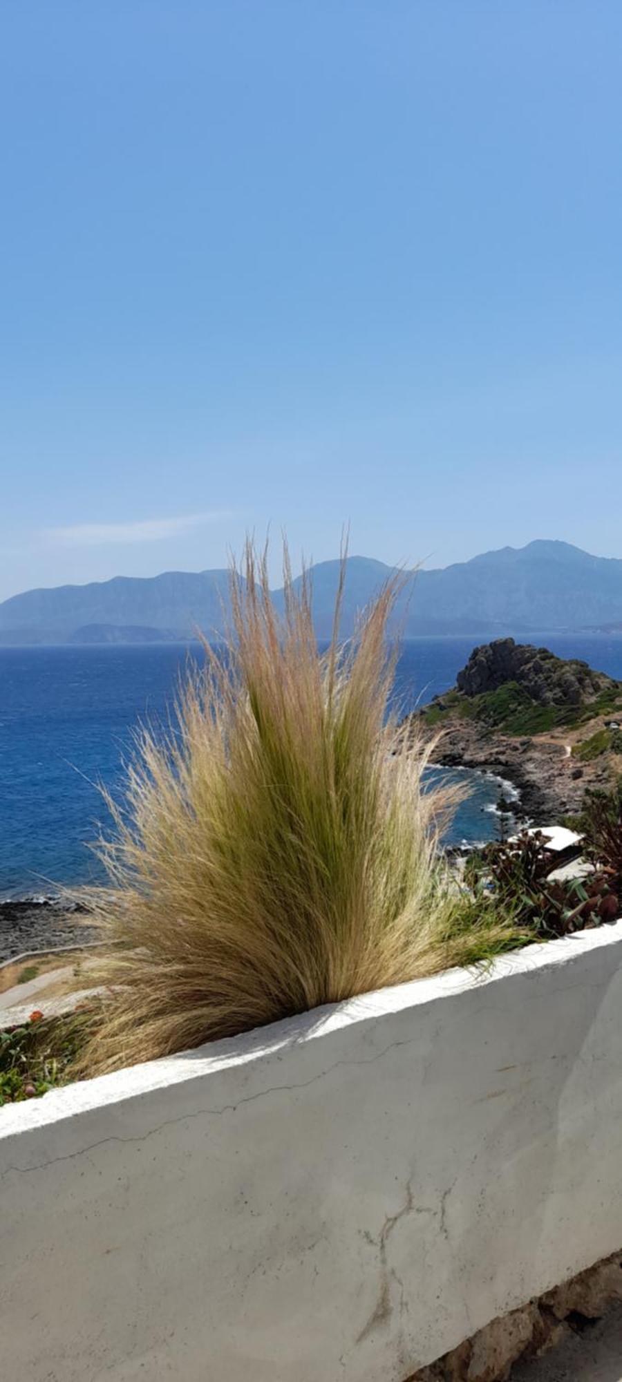 Mirabello Sea House Agios Nikolaos Exteriör bild
